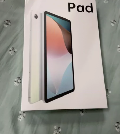 OPPO Pad Air雾灰色 4GB/6...