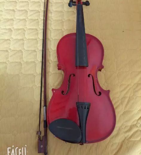 小提琴，要搬家。出售闲置物品。 感兴趣的话...