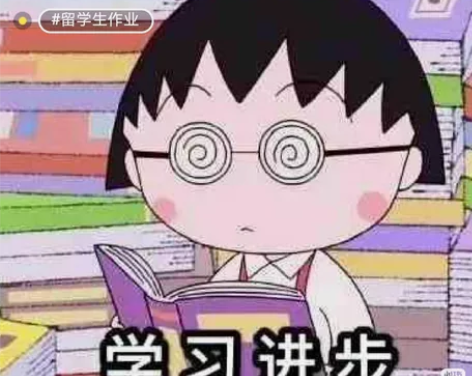 留学生数学作业辅D/数学考试辅D。数学系研...