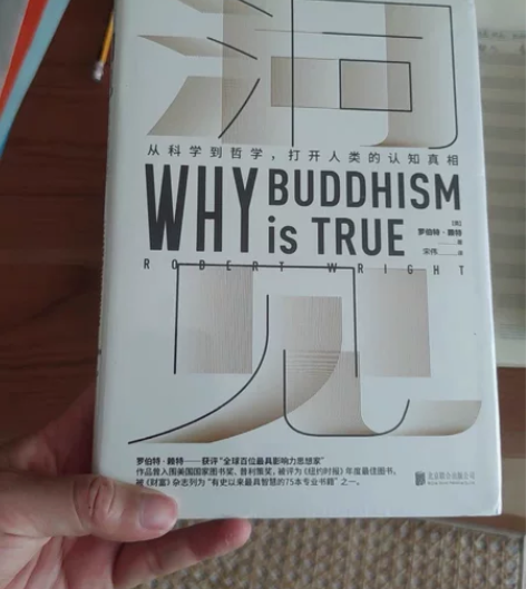洞见 从科学到哲学打开人类的认知真相为什么...