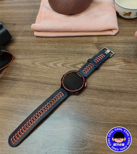 Garmin佳明Forerunner 73...