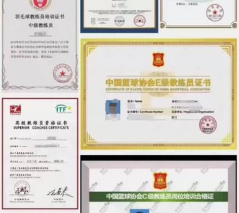 篮球教练员专用 专业第一 十年企业 B C...