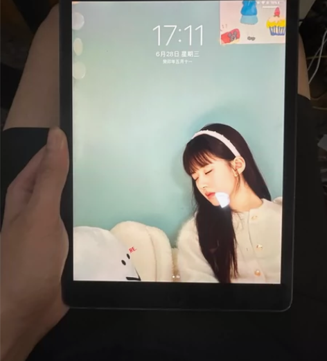 iPad mini5，买来记笔记和学画画的...