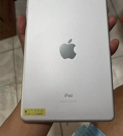 出 iPadmini5(2019款)256...