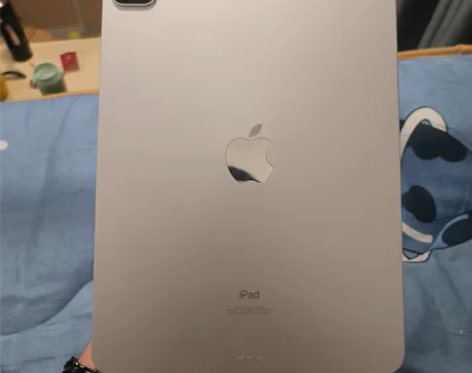 自用ipad2021pro，99新。只有边...