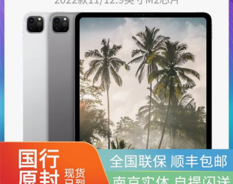 苹果ipad 2022新款Apple/ i...