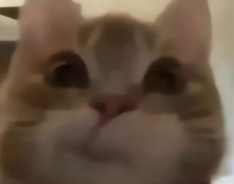 收奥林巴斯fe360和佳能ixy40（ix...