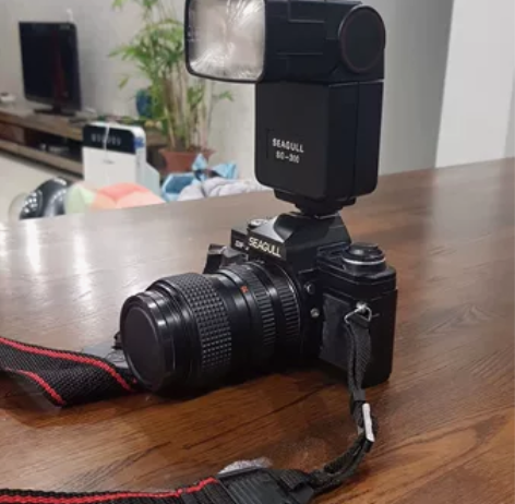 海鸥相机df-300X，带闪光灯，只用了一...