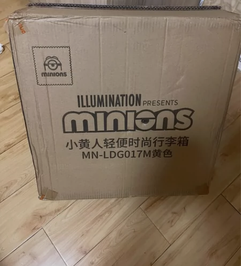 小黄人轻便时尚行李箱拉杆箱18寸全新，仅开...
