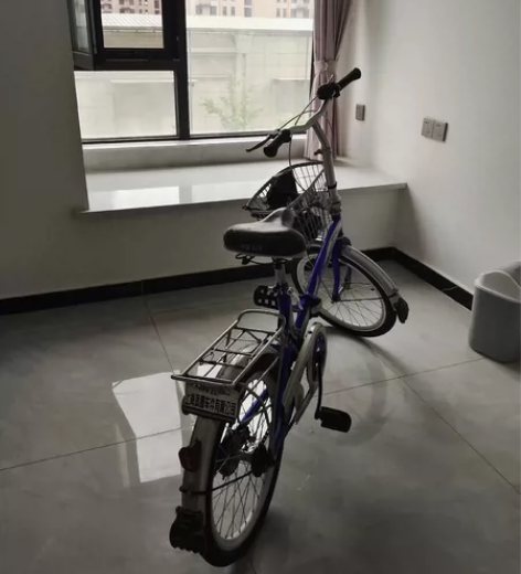 凤凰自行车,给孩子买的,孩子不会骑,闲置出...