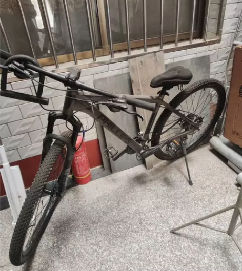菲利普自行车 过年买的时候1300现在60...