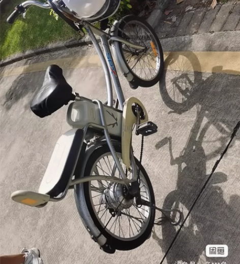 喜德盛豹子系列4C自行车，锂电池15安时(...