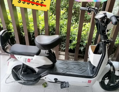 【个人着急卖】全新飞鸽电瓶车二手的价格电动...