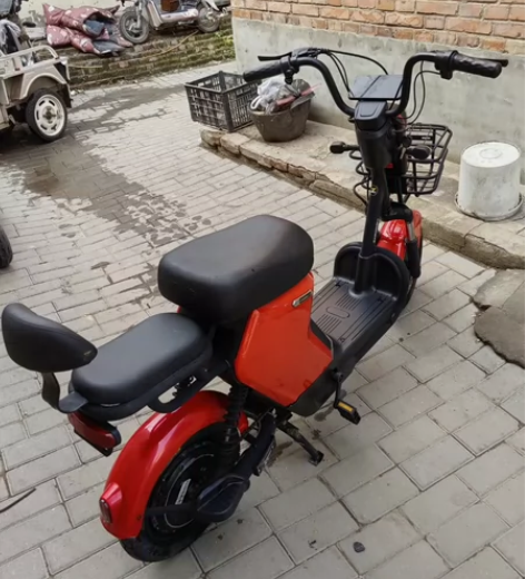 正步牌，48/20，爱玛石墨烯电池，刚刚出...