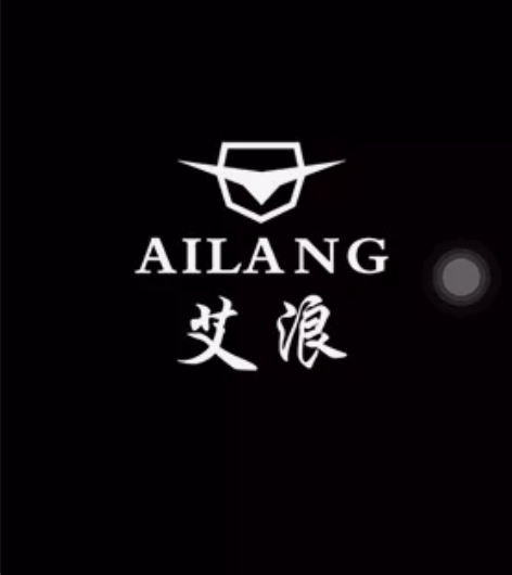 艾浪手表全新 瑞士认证机械表新款镂空手表男...