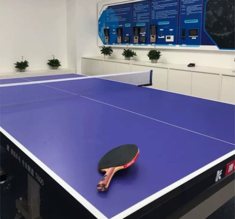 乒乓球桌乒乓球台案子室内款 国标尺寸特价处...