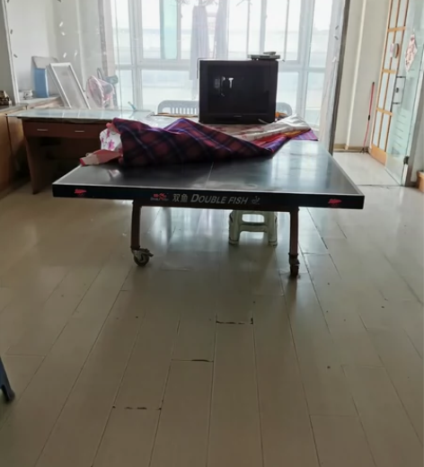 标准乒乓球台，完好无损，放置时间长了，有点...