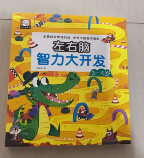 全新儿童大脑智力开发训练图书玩出聪明脑 感...