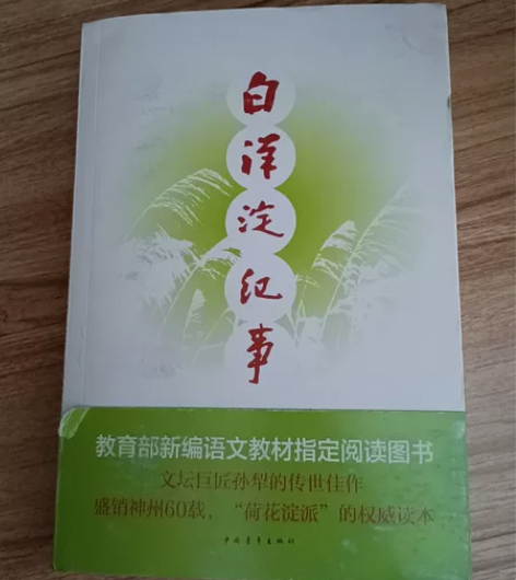 白洋淀纪事 感兴趣的话点“我想要”和我私聊...