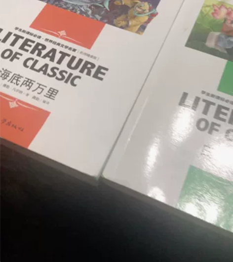 白洋淀纪事 湘行散记 海底两万里 名师精...