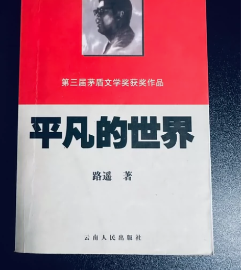 平凡的世界 9成新轻微使用痕迹￥18?2人...