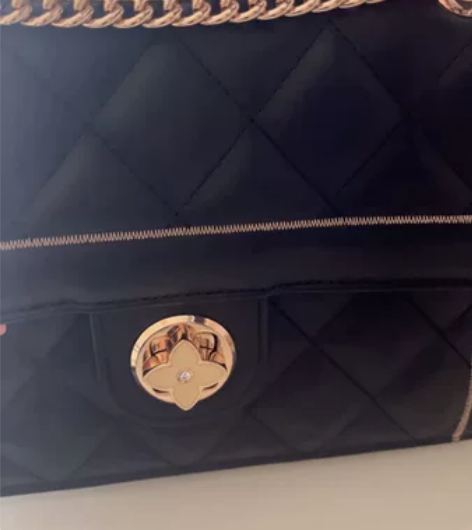 女包全新 欧时纳。长约23cm 宽18cm...