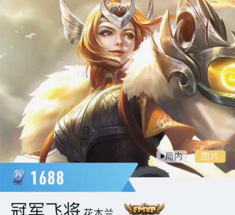 冠军飞将 花木兰世冠皮肤 全系统在线发 王...