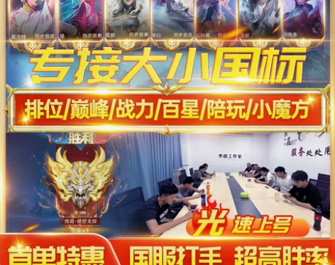 王者荣耀代练陪玩打排位大小国标省金标巅峰