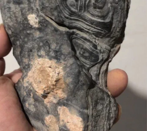 灵璧石 白马纹石 灵璧石纹石 一念神魔 好...