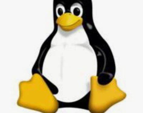 电脑问题咨询技术服务 linux系统配置网...