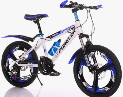 永久儿童自行车20寸，淘宝上400多买的，...
