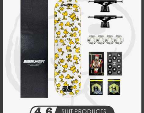 DBH滑板初学者青少年成人专业动作刷街双翘...