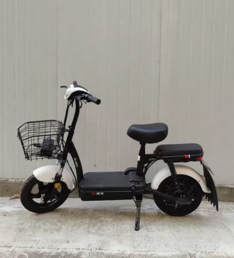 新大洲电动车 自己用的48V20A的电动车...