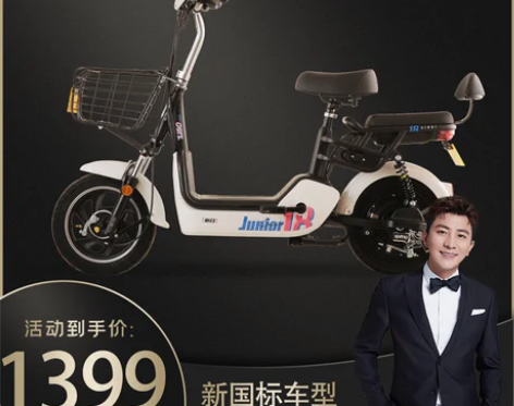 新日新国标小型电动车电瓶车双人成年自行车代...