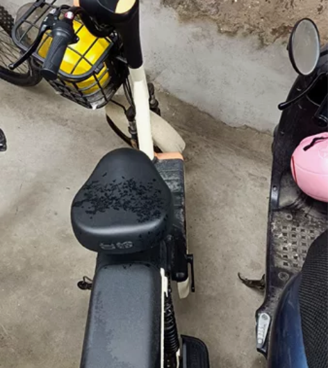 台铃电动车1080元 9.9成新，22年8...