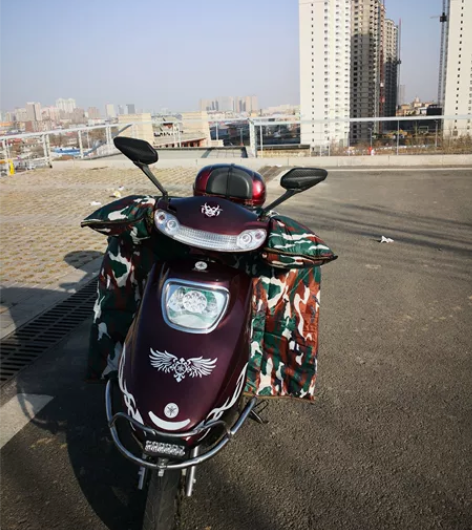 绿源电动车48v20ah  已上牌照 四十...