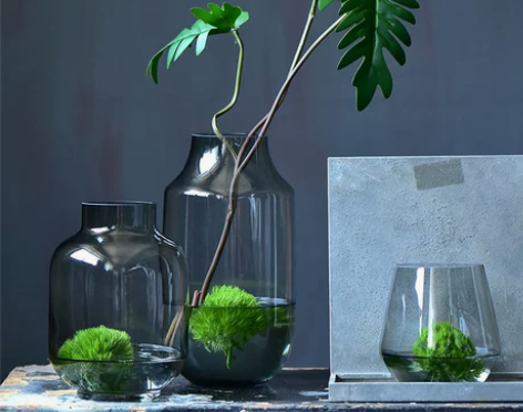 Bixuan现代简约透明玻璃花瓶+家居装饰...