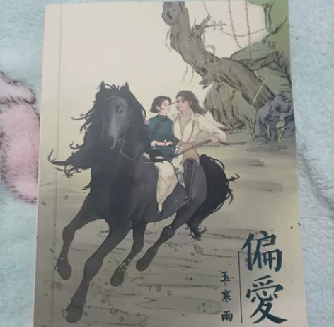 玉梦同人《偏爱》 如图，老福特粉丝价，专拍...