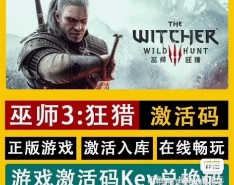 巫师3 狂猎   正版游戏激活码 直接激活...