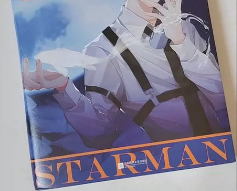 《临时保镖》青春文学 书店买的几乎全新￥1...