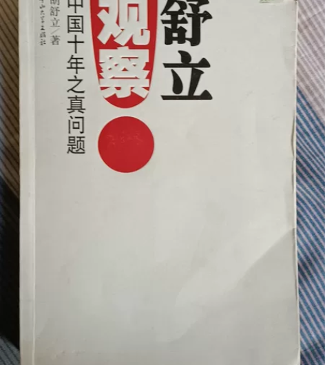 中国十年之真问题 正版二手，极少量勾画舒立...