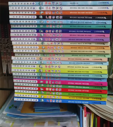 正版《大中华寻宝系列》非常受欢迎的小学生读...